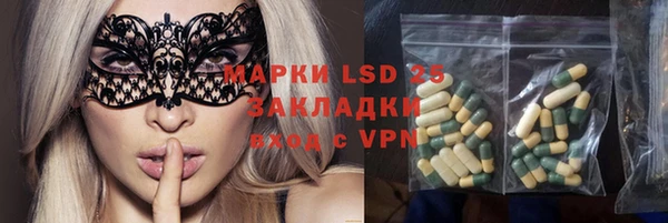 ПСИЛОЦИБИНОВЫЕ ГРИБЫ Медногорск