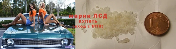 ECSTASY Майский