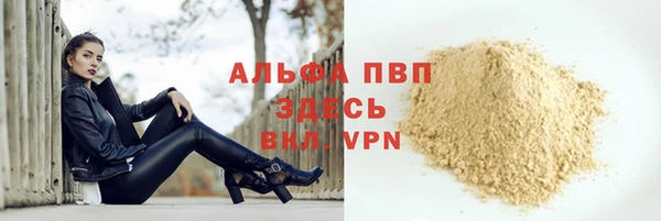ECSTASY Майский