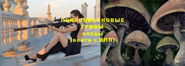 ECSTASY Майский