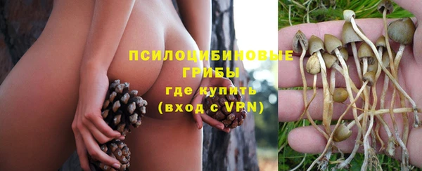 ECSTASY Майский