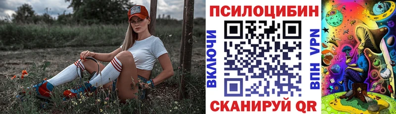 Псилоцибиновые грибы мухоморы  Купить  Новопавловск 