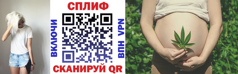 Купить где  Новопавловск  Бошки Шишки White Widow 
